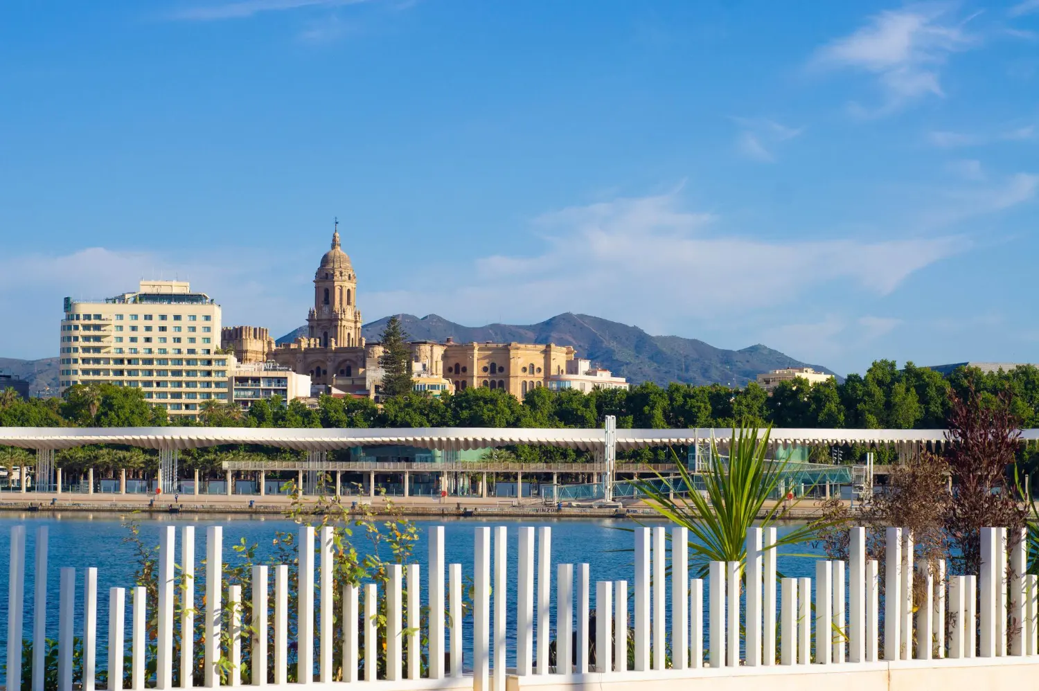 Asesoría de marketing digital y diseño web en Málaga para empresas de la Costa del Sol